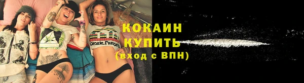 прущие крисы Белокуриха