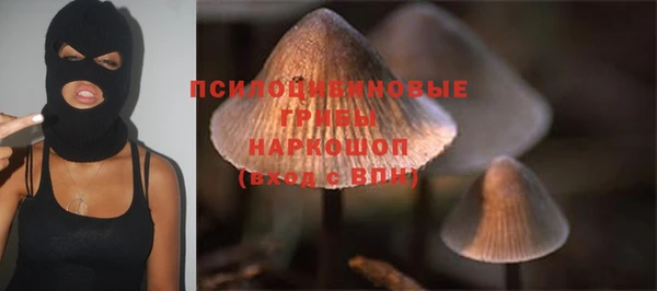 Альфа ПВП Беломорск