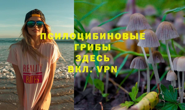 Альфа ПВП Беломорск