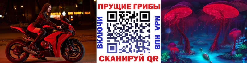 Псилоцибиновые грибы Magic Shrooms  Купить  Топки 
